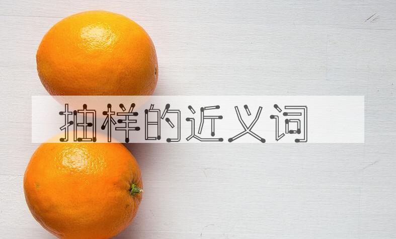 用抽样造句