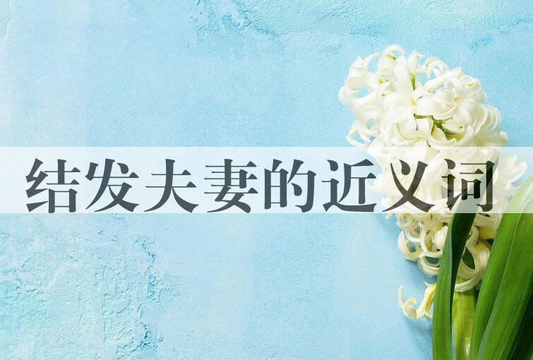 用结发夫妻造句