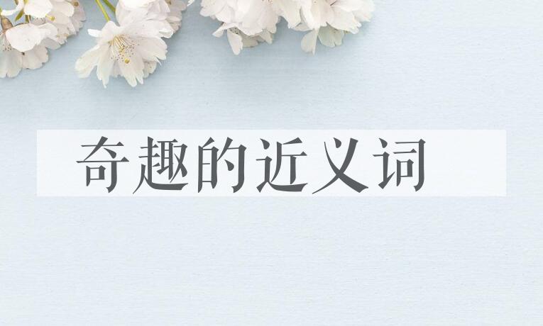 用奇趣造句