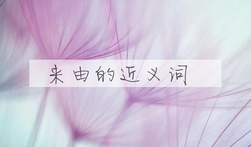 用来由造句