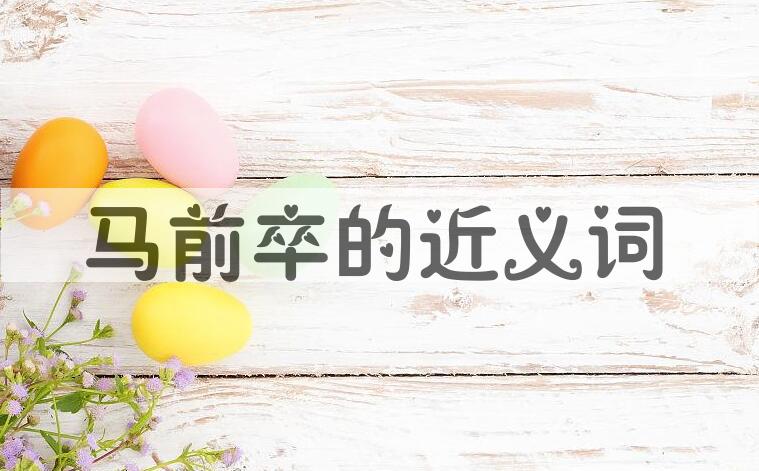 用马前卒造句
