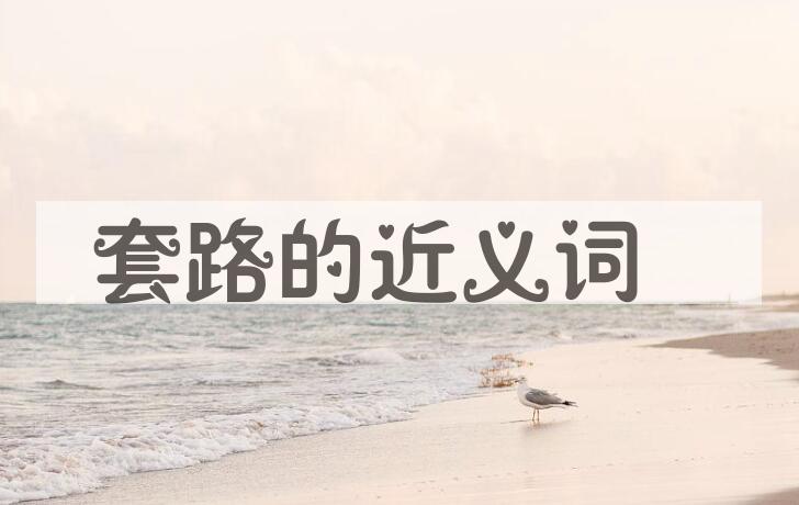 用套路造句