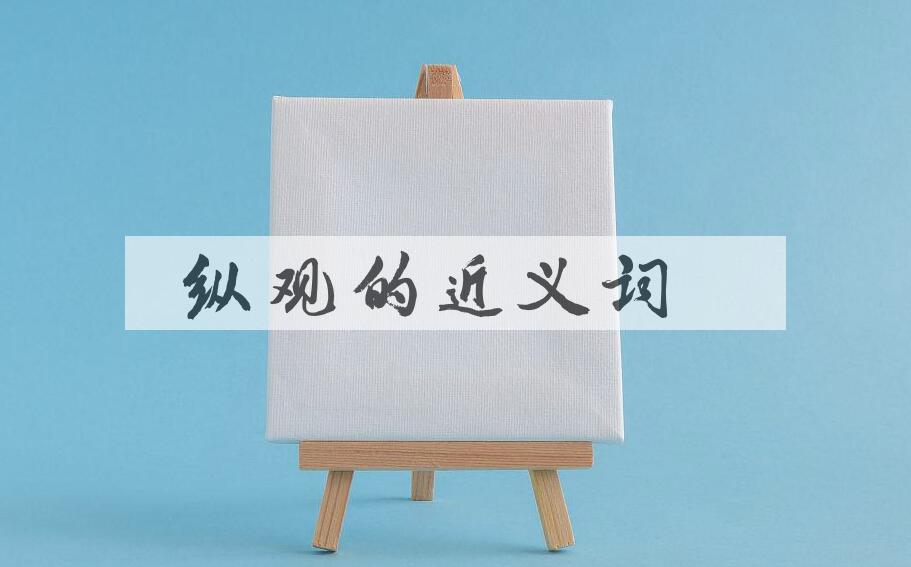 用纵观造句
