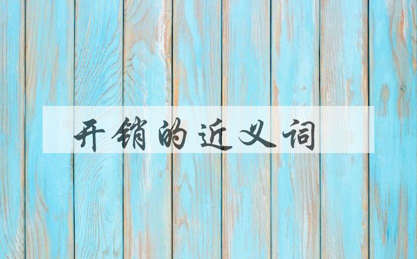 用开销造句