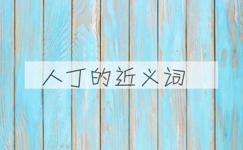 用人丁造句