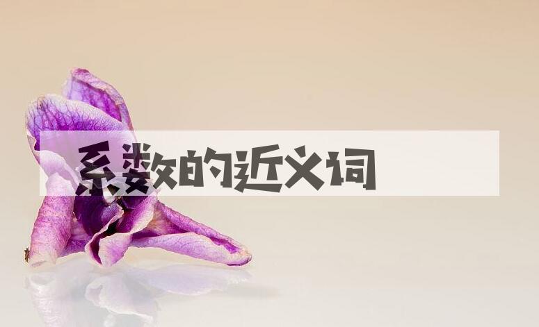 用系数造句