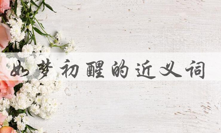 用如梦初醒造句