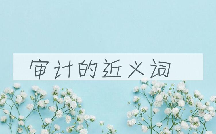 用审计造句