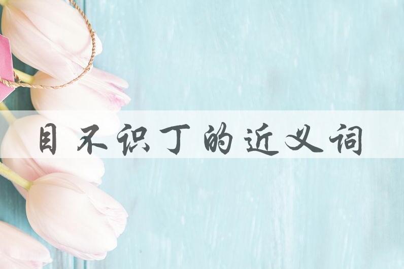 用目不识丁造句