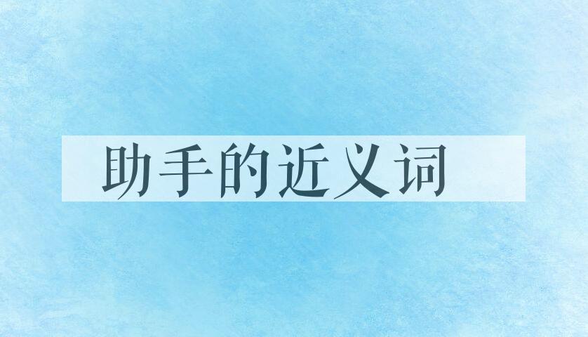 用助手造句