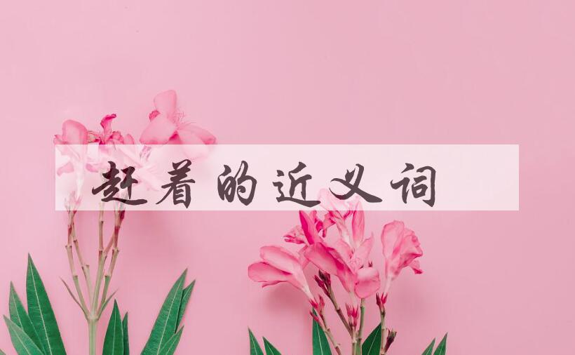 用赶着造句
