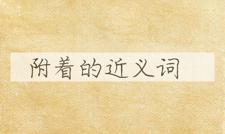 用附着造句