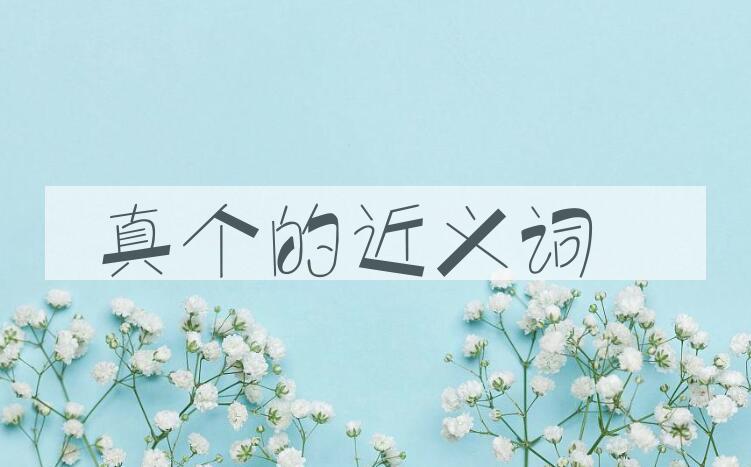 用真个造句