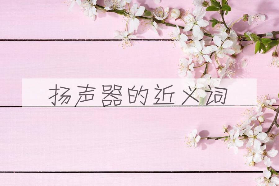 用扬声器造句