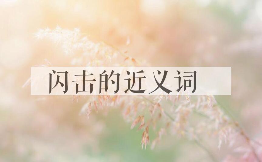 用闪击造句