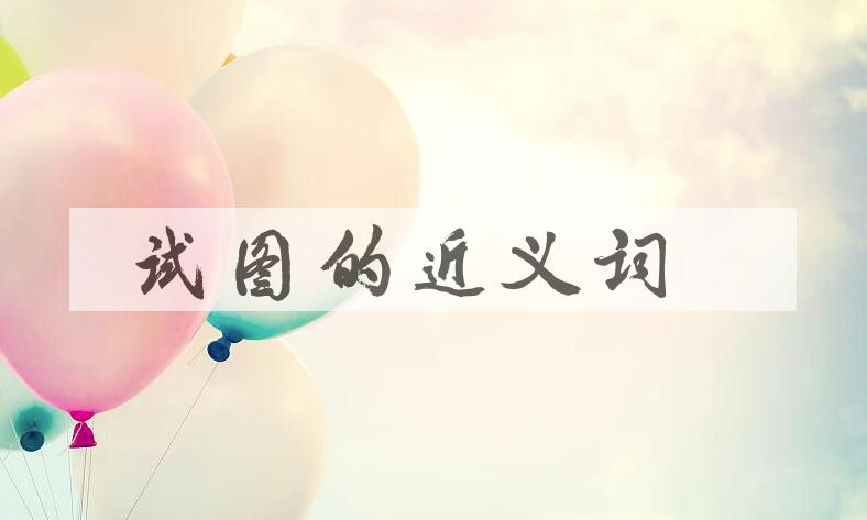用试图造句