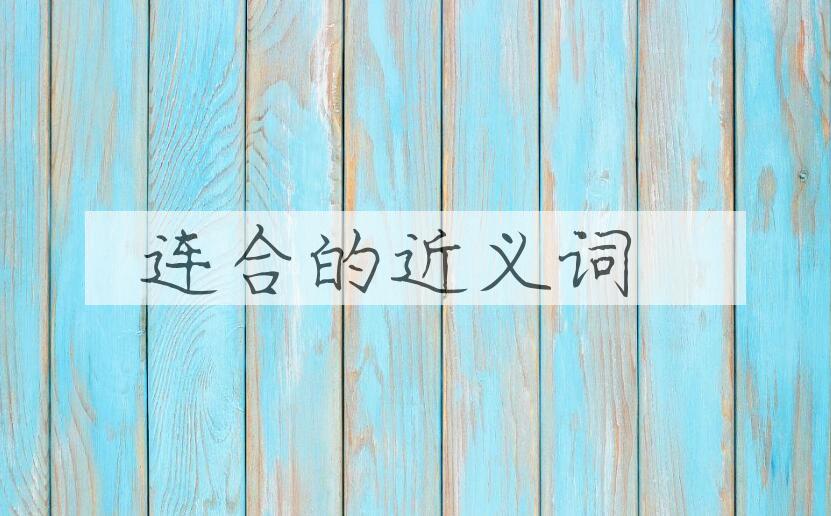 用连合造句