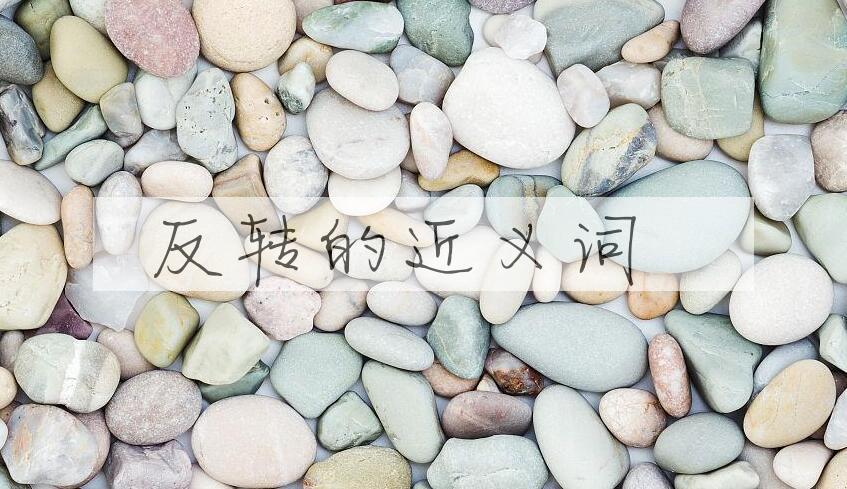 用反转造句