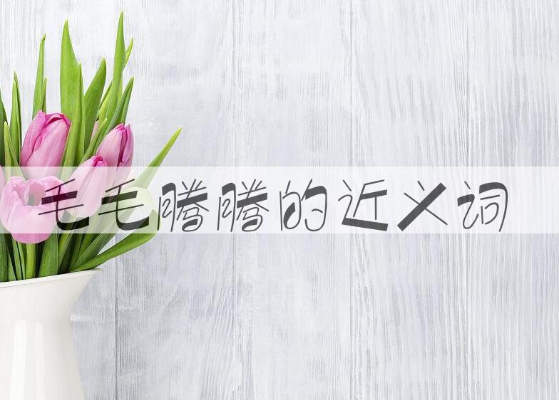 用毛毛腾腾造句