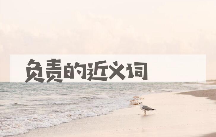 用负责造句