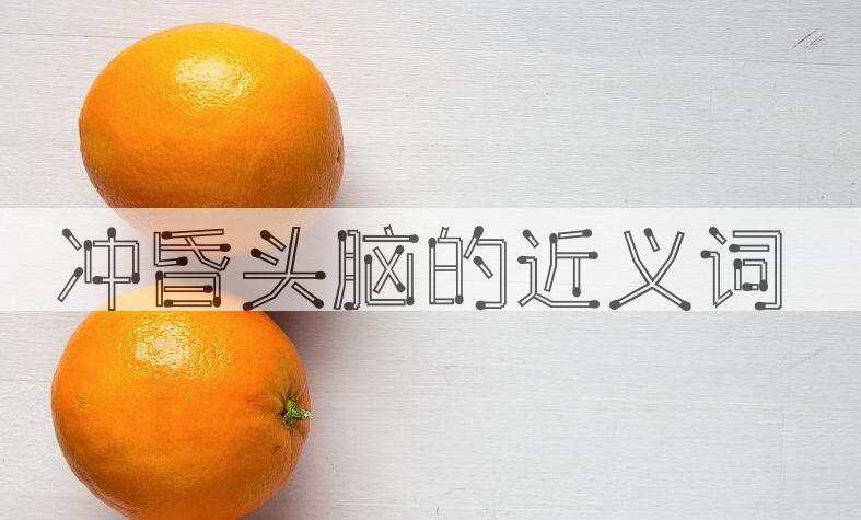 用冲昏头脑造句