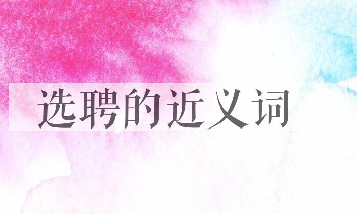 用选聘造句