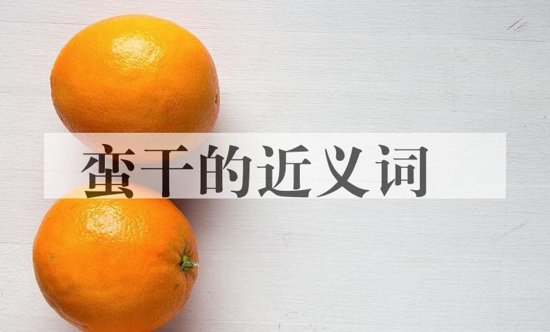 用蛮干造句