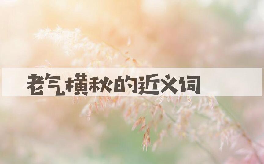 用老气横秋造句