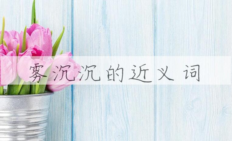 用雾沉沉造句