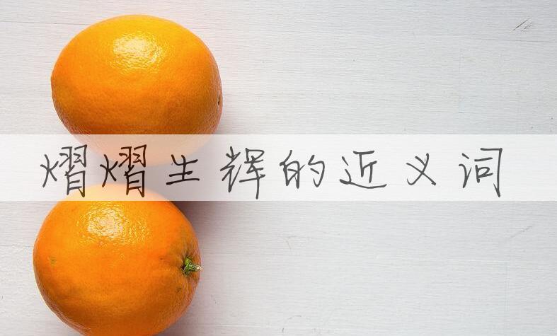 用熠熠生辉造句
