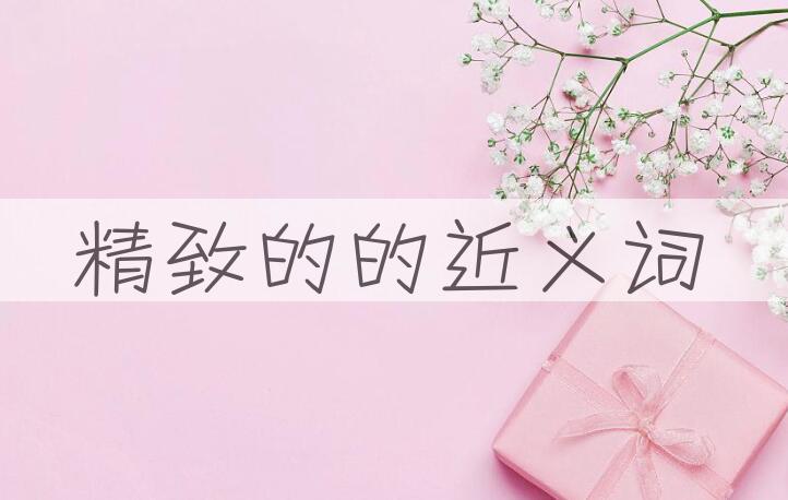 用精致的造句