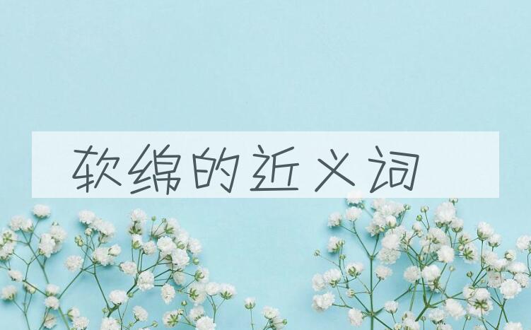 用软绵造句