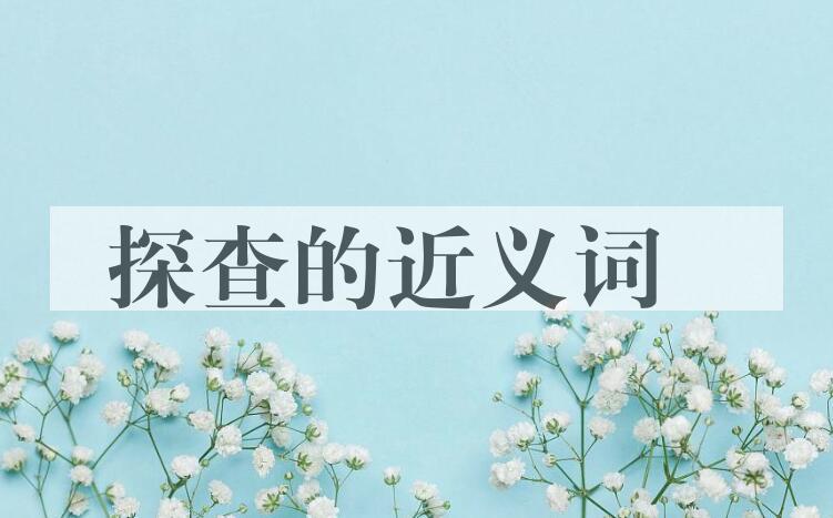 用探查造句