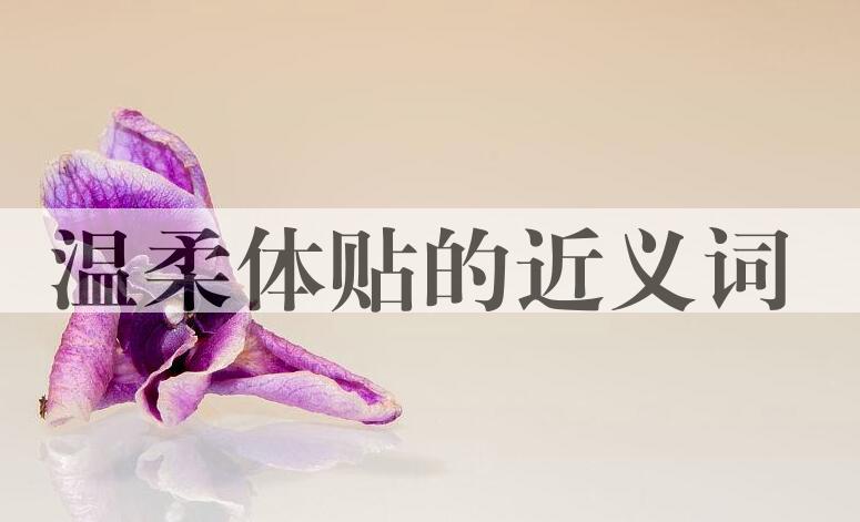 用温柔体贴造句
