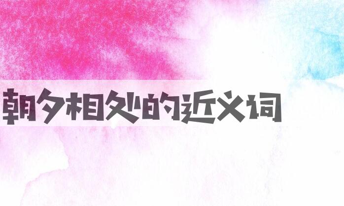 用朝夕相处造句