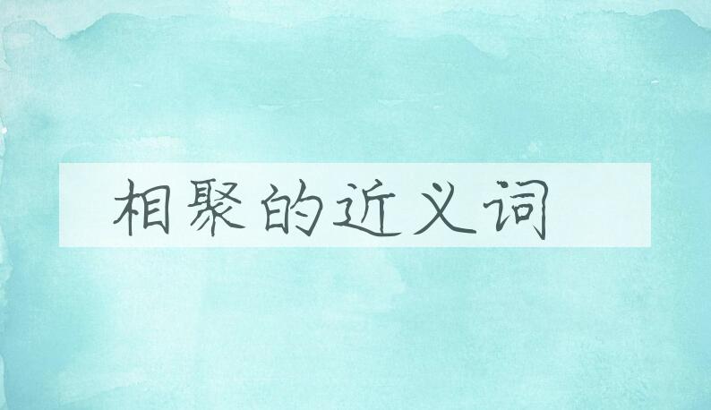 用相聚造句