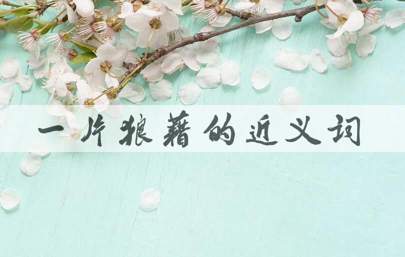 用一片狼藉造句