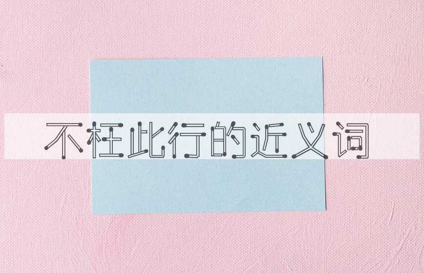 用不枉此行造句