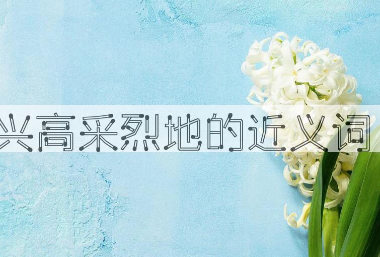 用兴高采烈地造句
