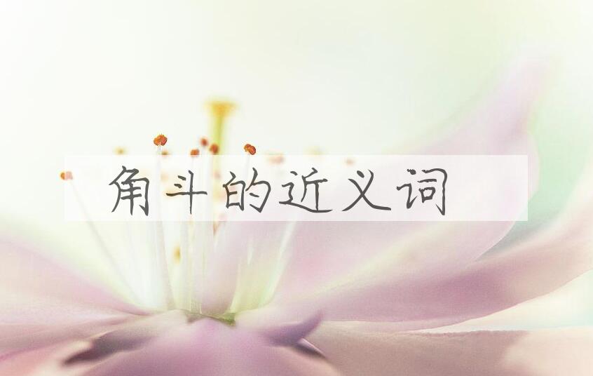 用角斗造句
