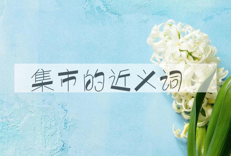 用集市造句