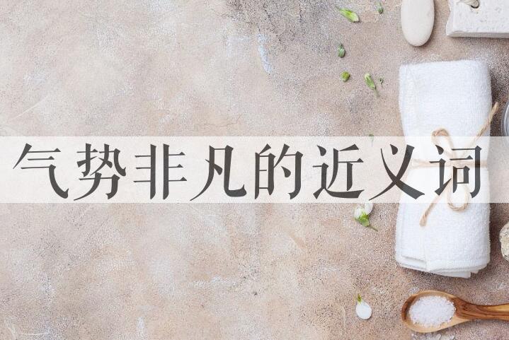 用气势非凡造句