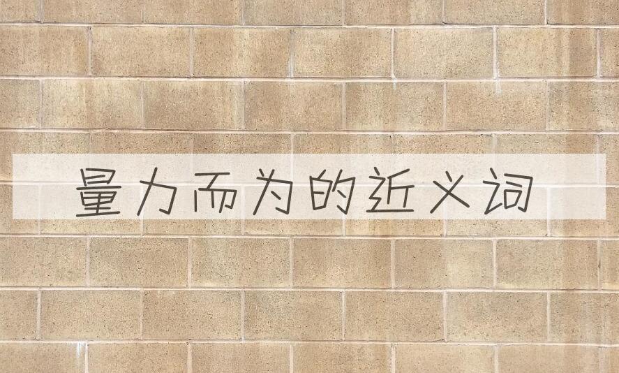用量力而为造句