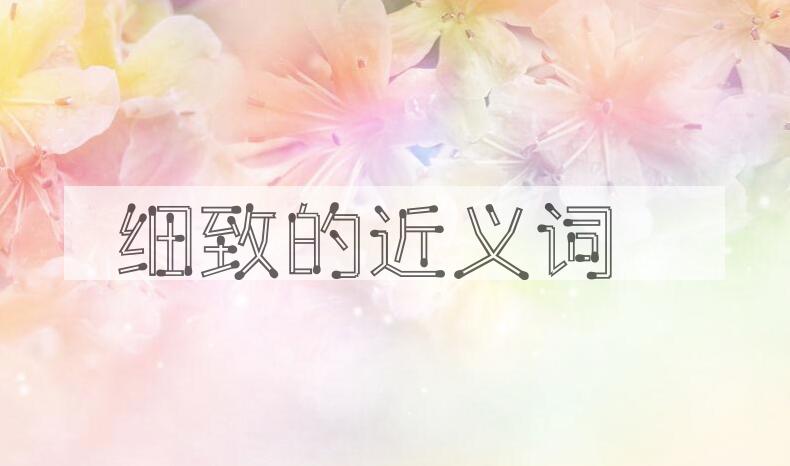 用细致造句
