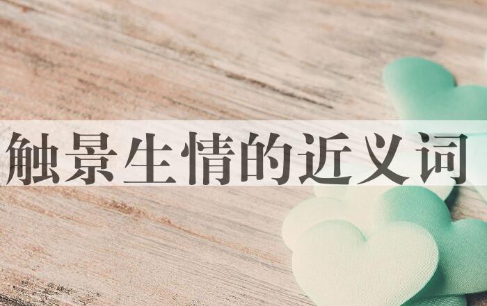 用触景生情造句