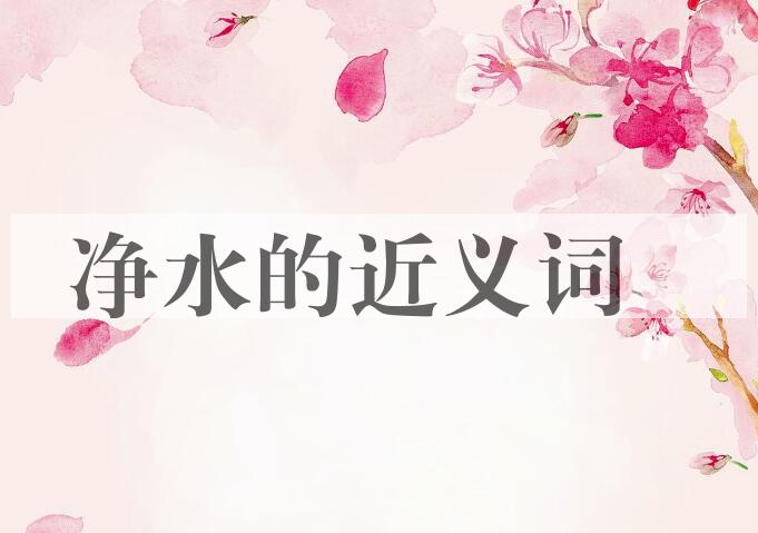 用净水造句