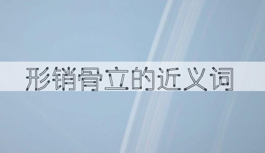 用形销骨立造句