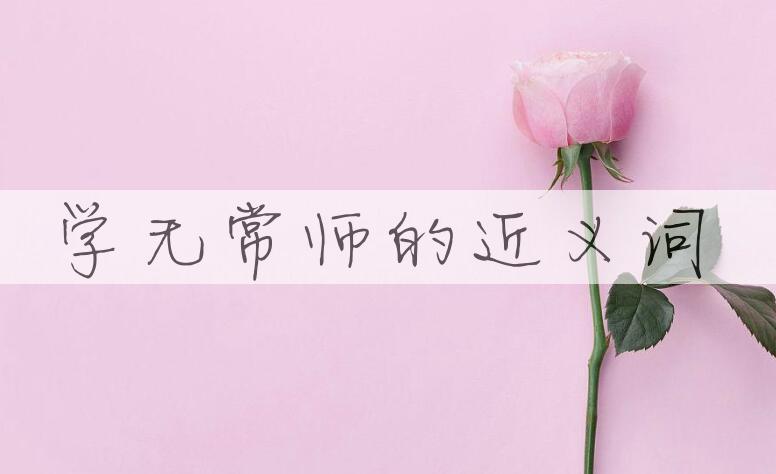 用学无常师造句