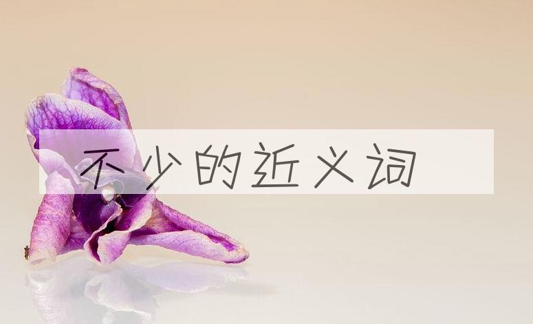用不少造句