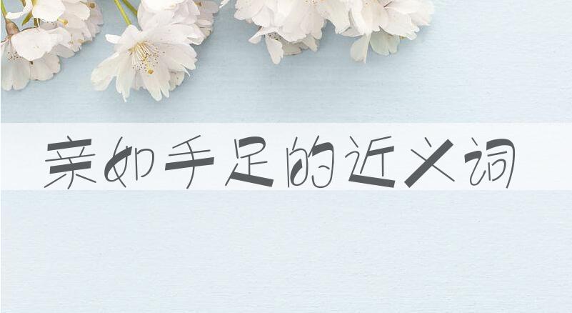 用亲如手足造句